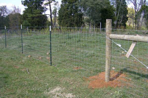 Fixed knot field fence are installed in the outdoor farm.