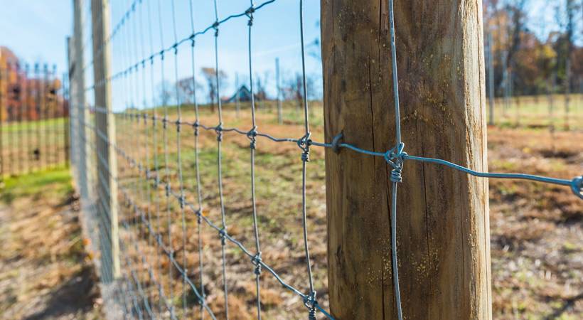 Fixed knot field fencing is isntalled on the wooden posts.
