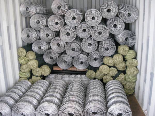 Several rolls of field fencing in the container.