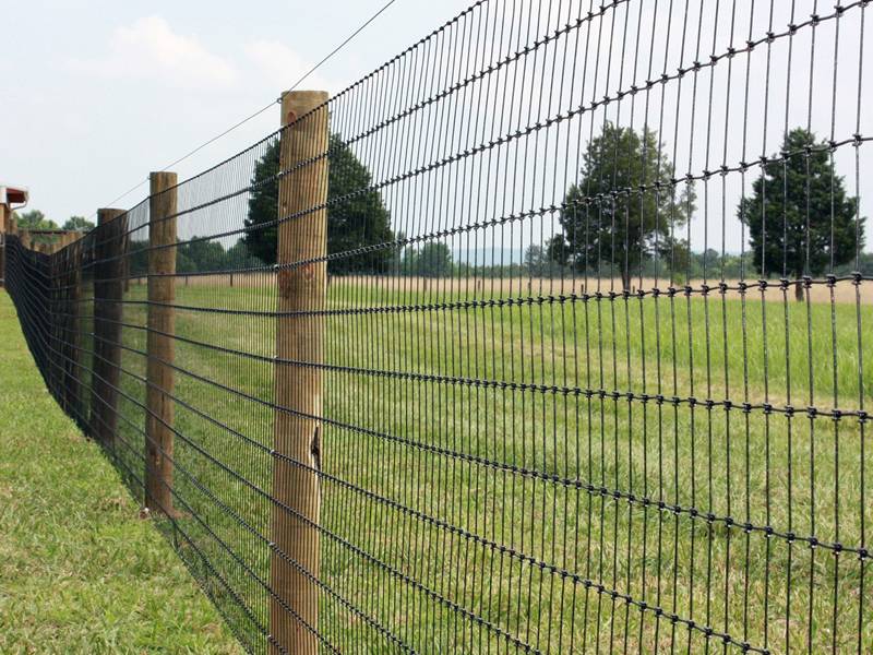 Grassland Fence With Hinge Joint Knot & Fixed Knot From 0.8 m to 2.0 m