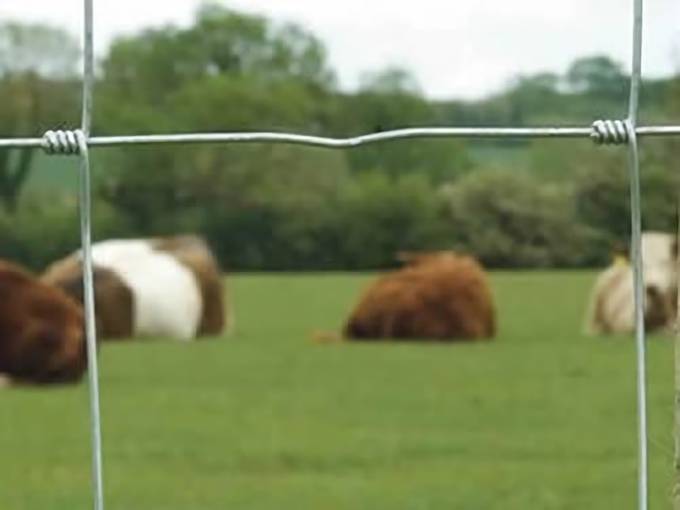 A detail of hinge joint of cattle fence.
