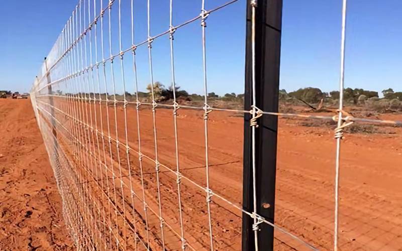 A black tar dipped star pickets supports fixed knot fence.