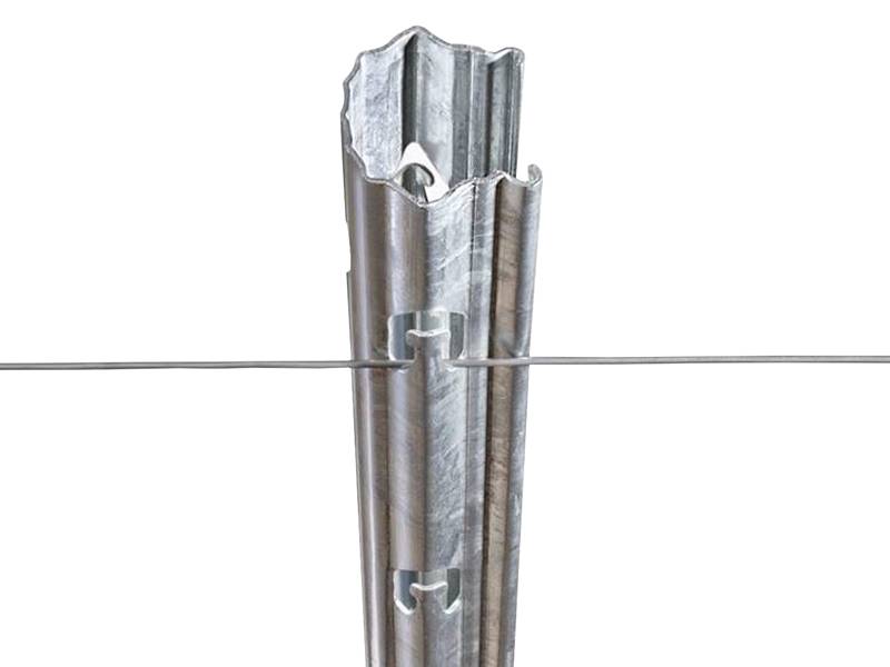 A vineyard post is supporting a steel wire on white background.